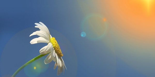 Sunrise Perspective from a Newly Sober Mum